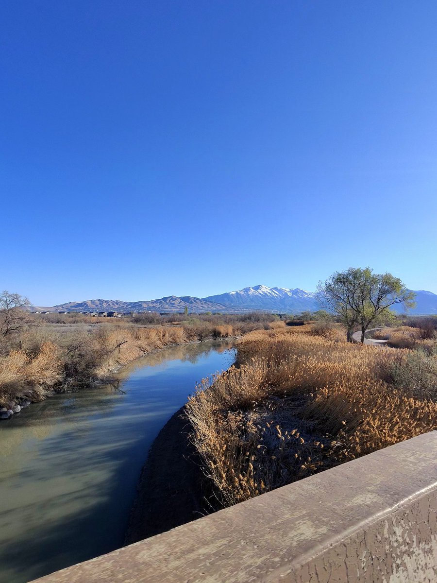 Kevin Wessman tweet media