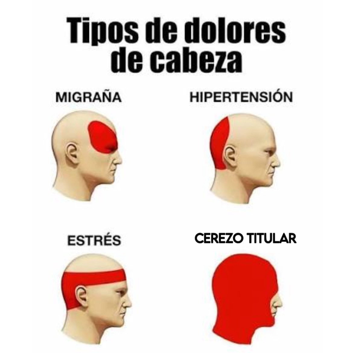 JCruzado tweet media