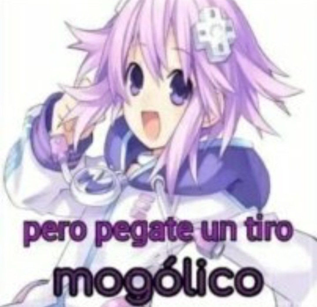 100 de Mortadela tweet media