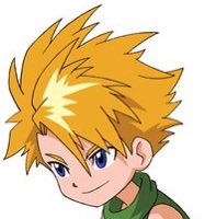 Pumpketo tweet media