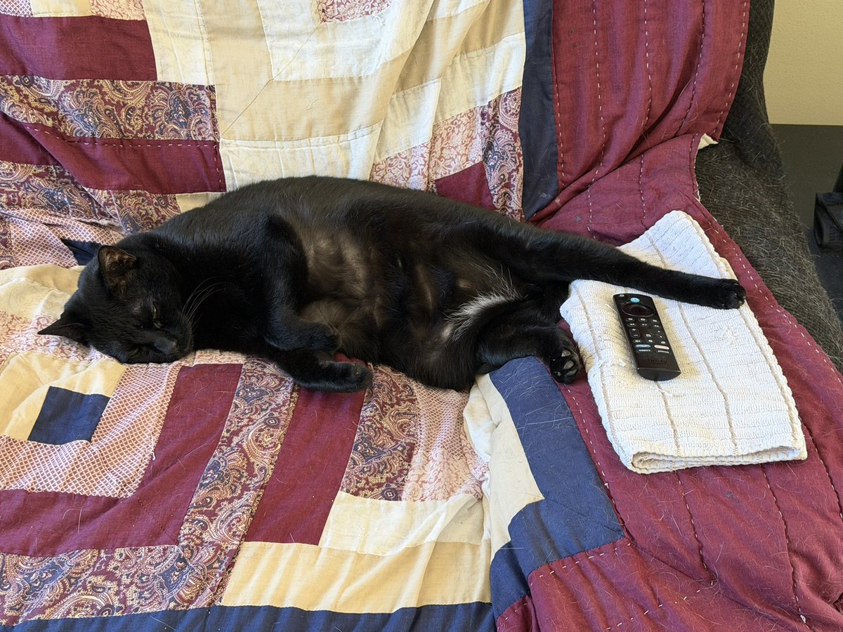 SkittlesFriends's tweet photo. Skittles: Well I think it’s safe to say that Sabre is quite comfortable and has been really enjoying lying on the couch all #Caturday morning and afternoon.
🏡🛋️☀️😹
#CatsofTwitter 
#Panfur 
#RelaxedCat https://t.co/elpSHvMarO