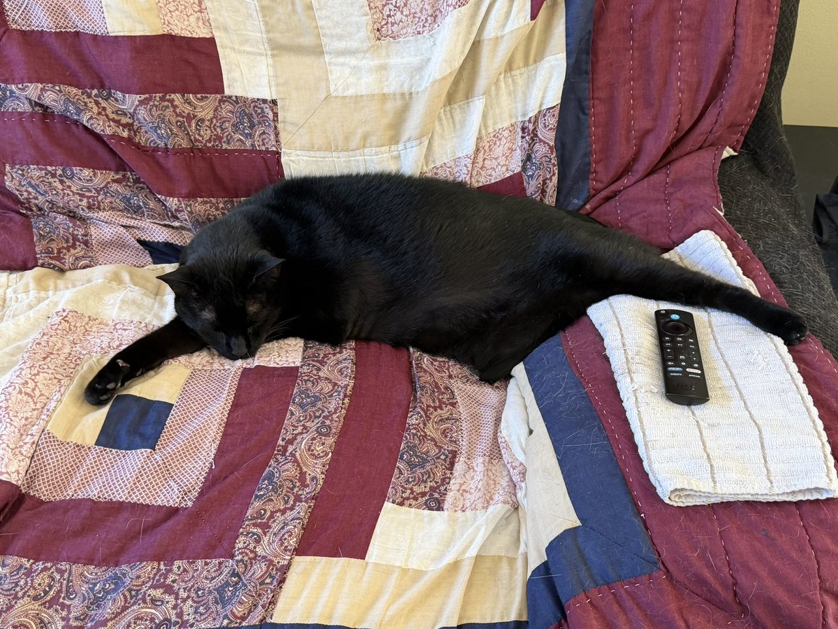 SkittlesFriends's tweet photo. Skittles: Well I think it’s safe to say that Sabre is quite comfortable and has been really enjoying lying on the couch all #Caturday morning and afternoon.
🏡🛋️☀️😹
#CatsofTwitter 
#Panfur 
#RelaxedCat https://t.co/elpSHvMarO