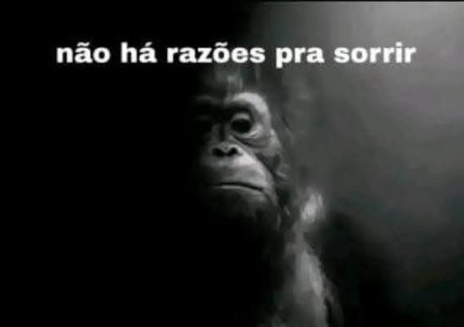 Reymondnotfound tweet media