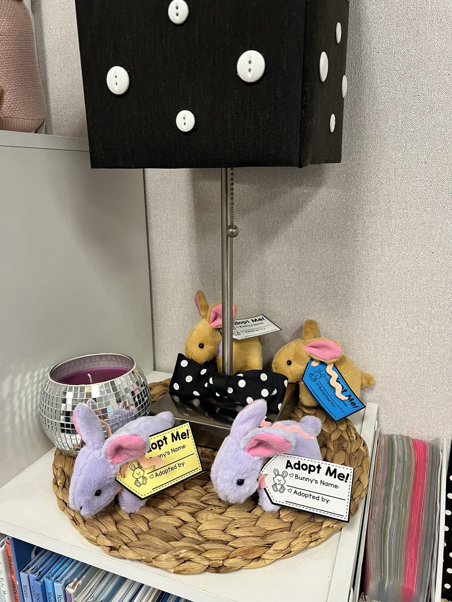 finch_janna's tweet image. We spent hours cleaning, setting up things, and moving all my classroom tables/furniture back into place. My 2nd graders are going to love their little class pets! 🐰♥️☀️ #cleaning #classroomsetup #springbreak #chaseinnovators Thankful for my husband’s help!!!!