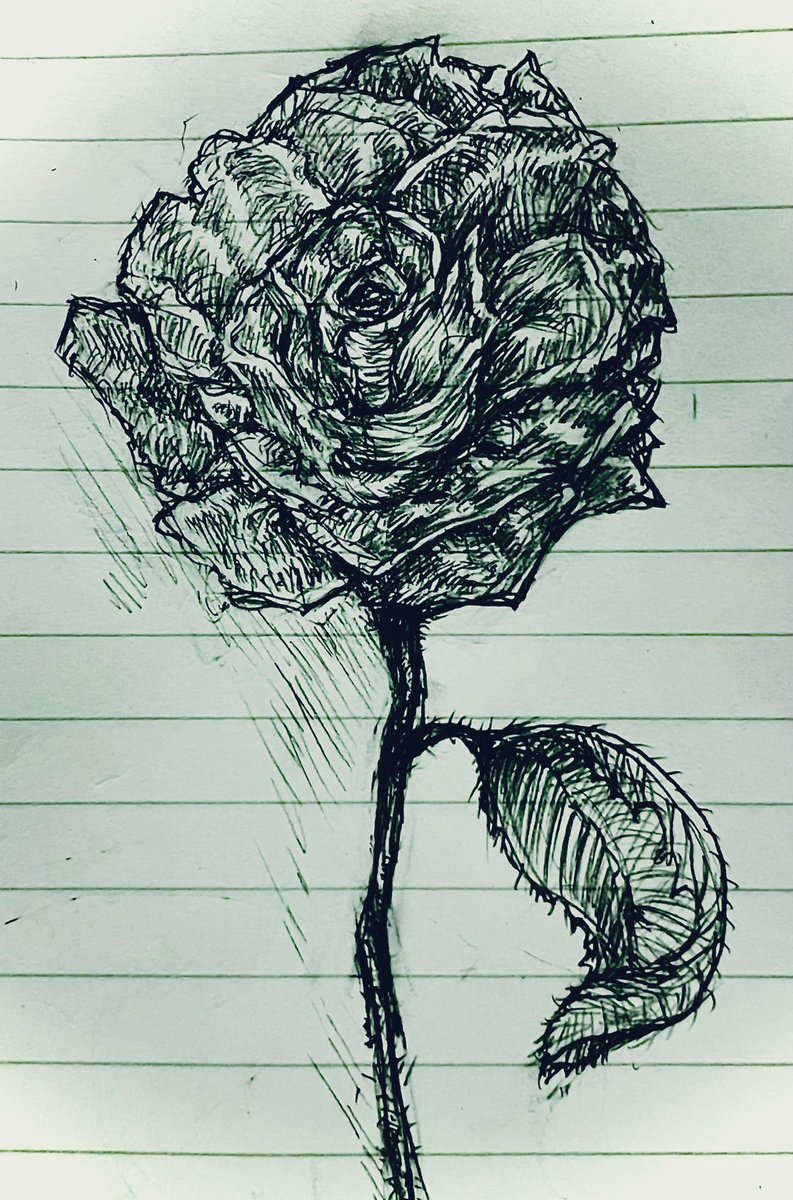 sakanmacgu's tweet photo. 【le rose】

#artworks #illustration 
#Graffiti #conceptualart #design 
#Etching #pencildrawing  #creaturedesign 
#Portrait #filmnoir #flowers #rose 
#Welldonecartoon #ArthurEllis 
#TeahouseMcGuffin @sakanmacgu https://t.co/ZIgye4WNKz