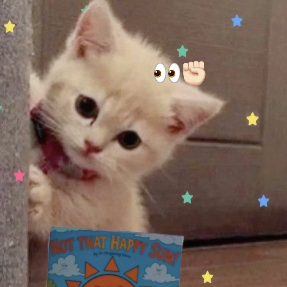 𝓙𝘄 ❤︎ tweet media