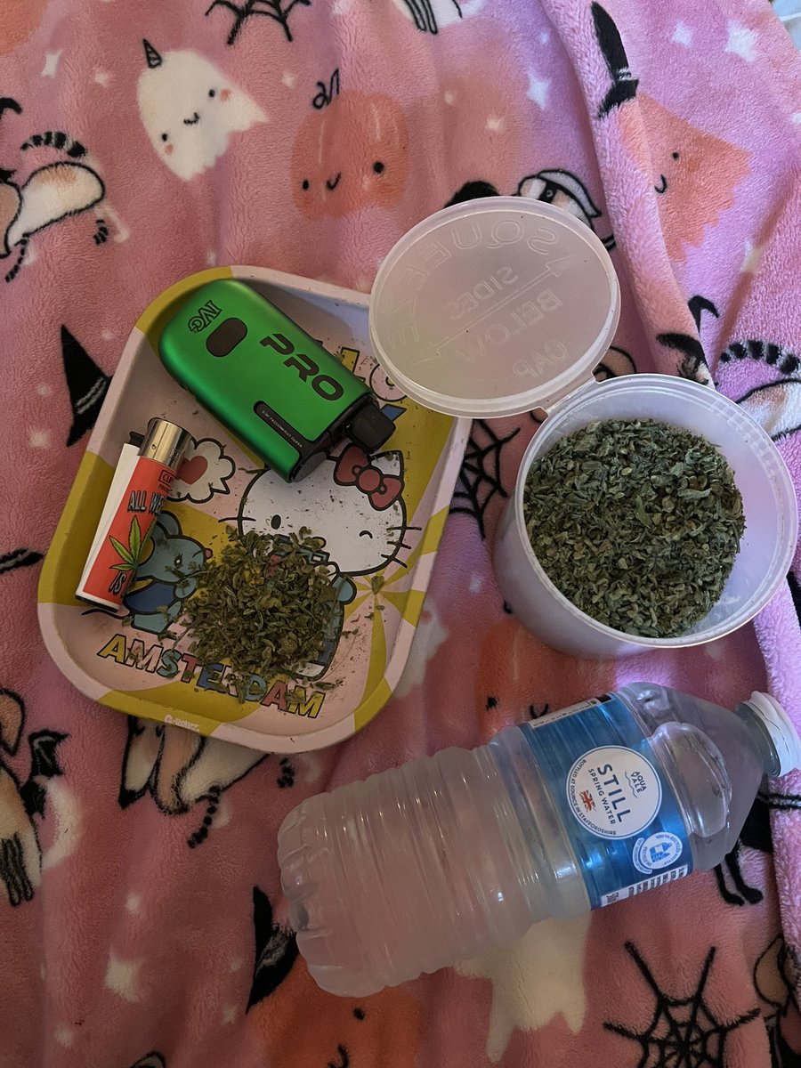 josie .* 𖣂 tweet media