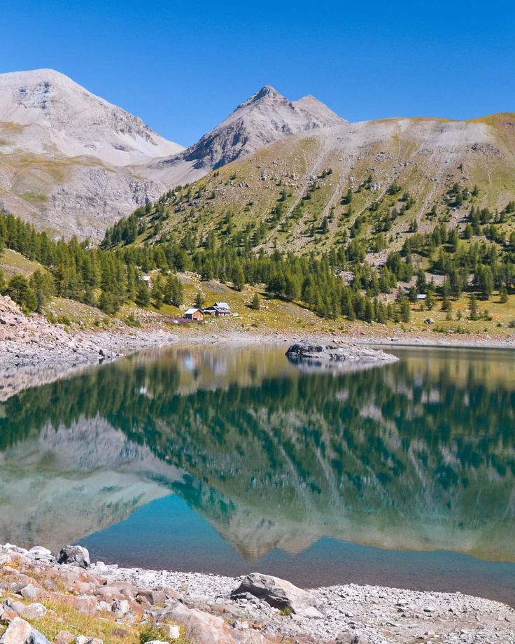 Walking Warrior tweet media