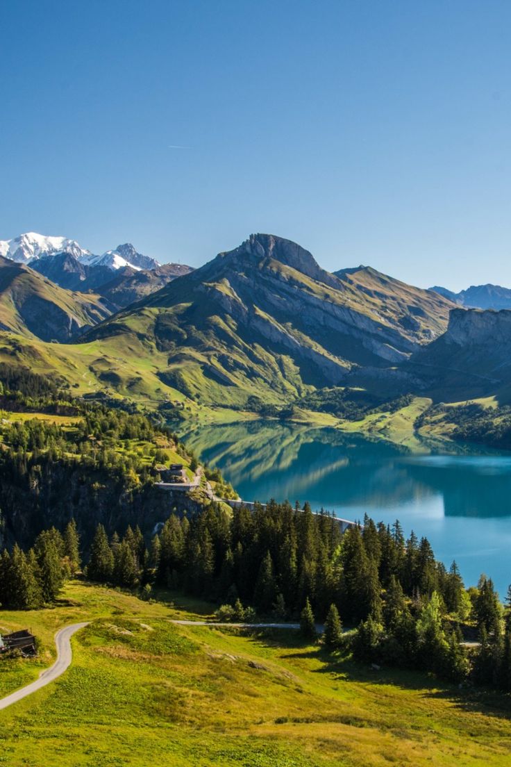 Walking Warrior tweet media