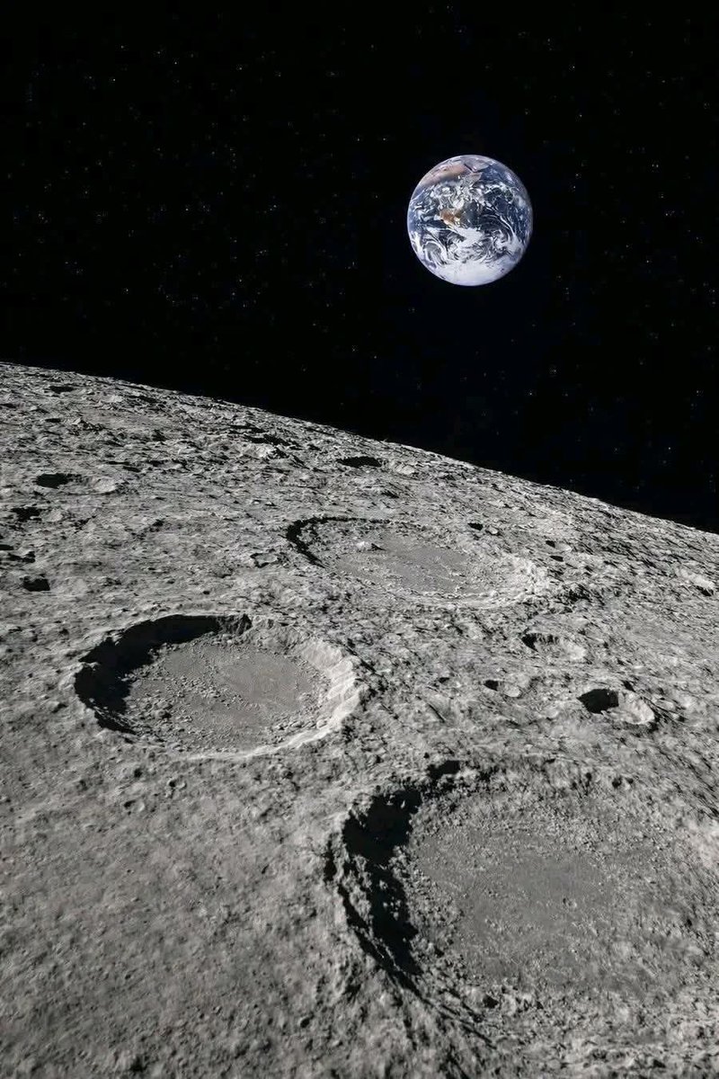 แมรี่ มาโลนี่ tweet media