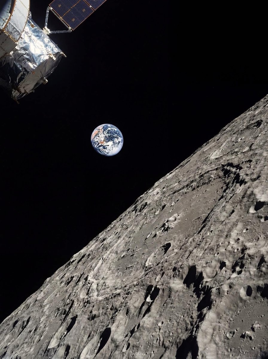 แมรี่ มาโลนี่ tweet media