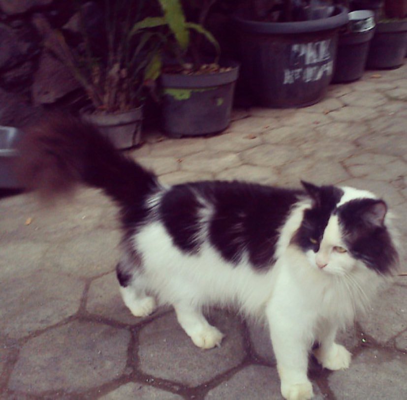 rest dr kehidupan tweet media