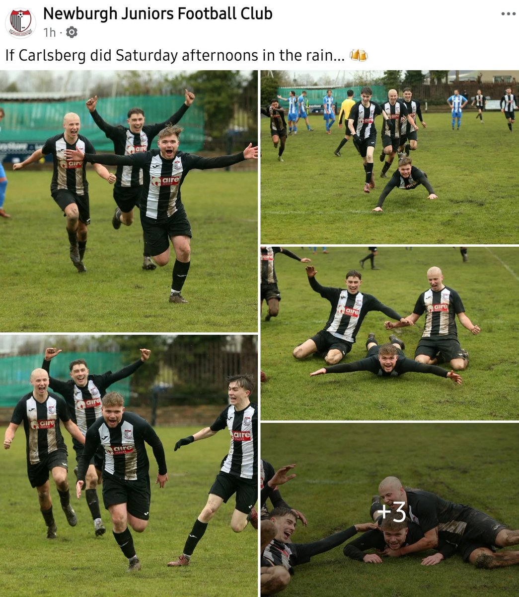 Fife Football tweet media