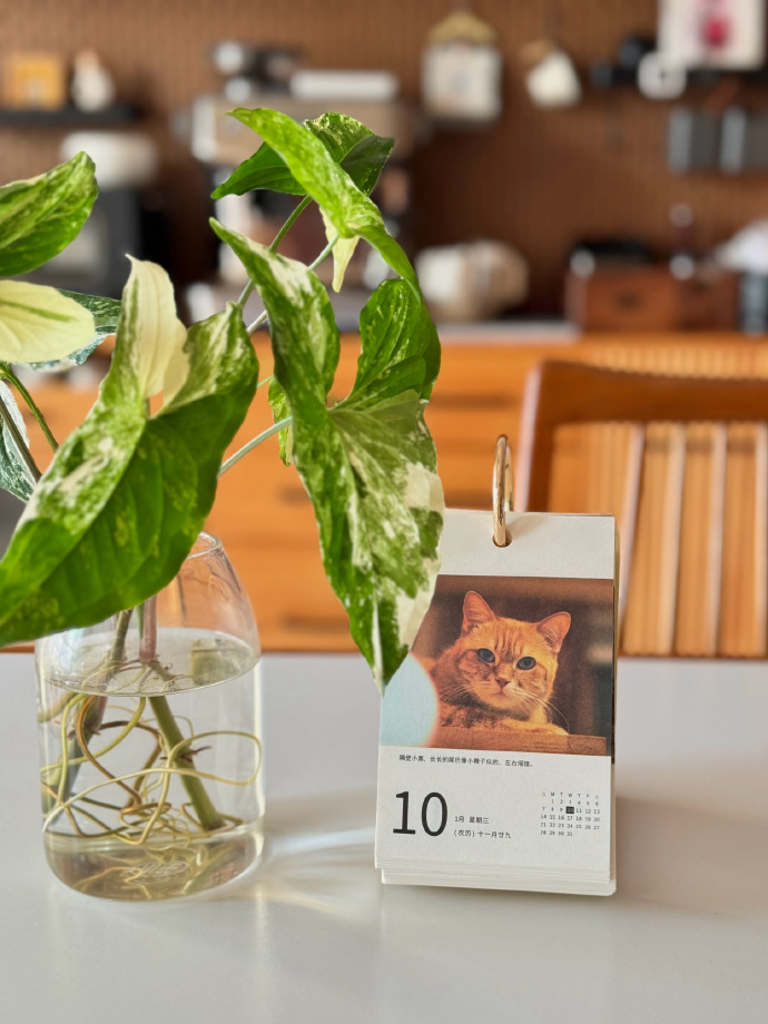 Anshul Nevare tweet media