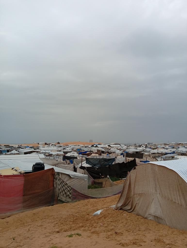 DonyaInGaza's tweet photo. Land Day in Gaza! https://t.co/QfrSm0u4Q3
