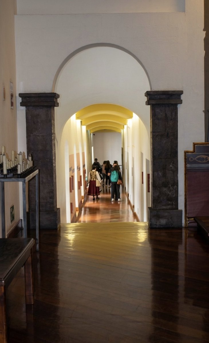 Museo Alberto Mena Caamaño tweet media