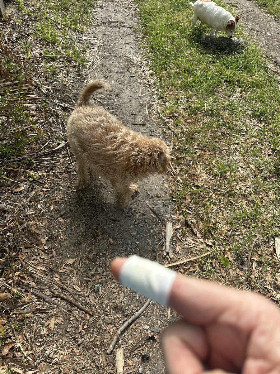 Patrick Skinner tweet media