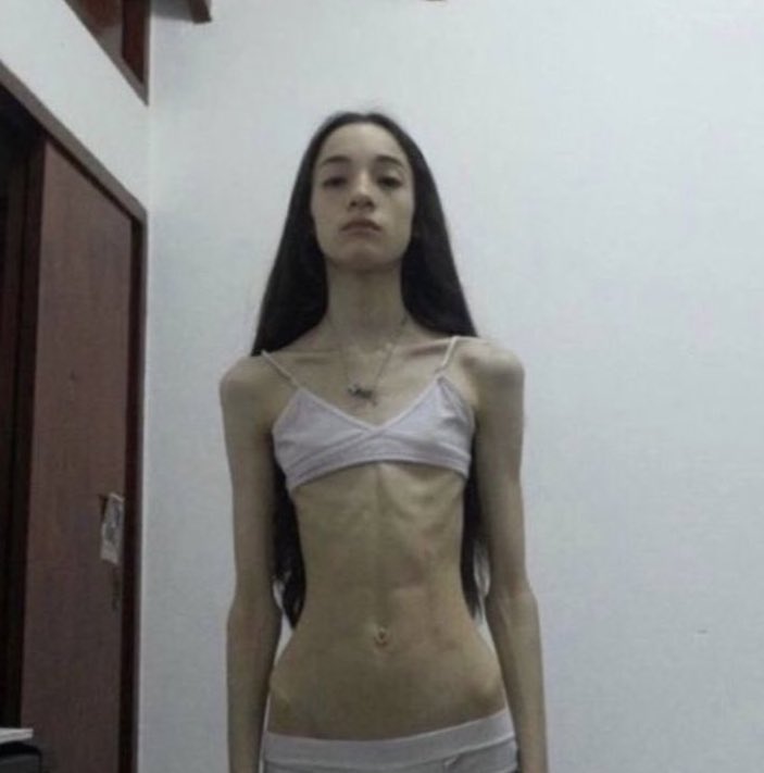 patriccia ⭑ tweet media