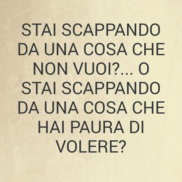 🖤 𝔽𝕒𝕓𝕚𝕠𝕝𝕒 𝕌𝕔𝕔𝕙𝕖𝕕𝕕𝕦 🖤 tweet media