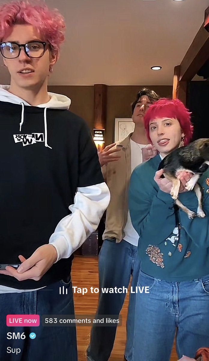 cat ⊹ ࣪ ˖ tweet media