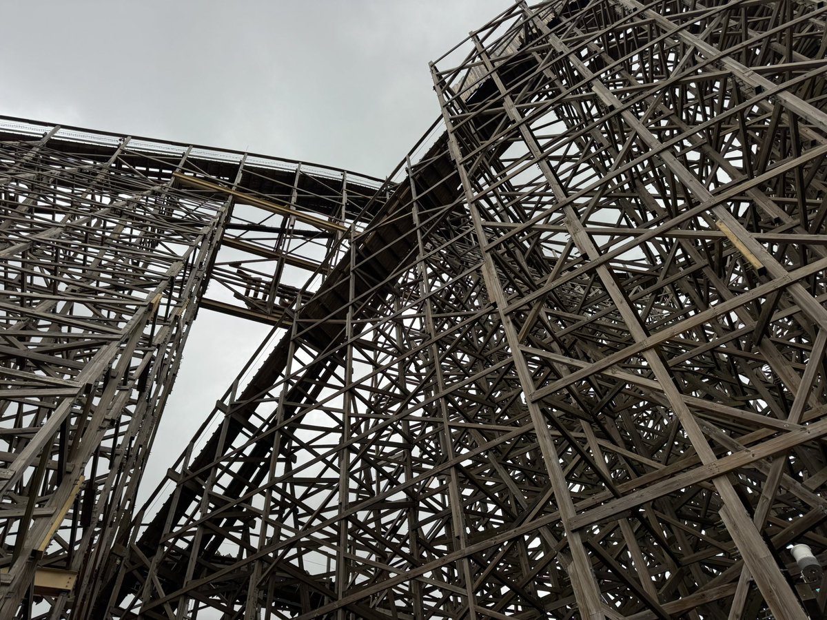 🌲⛓️🪾Keira🪾⛓️🌲 tweet media