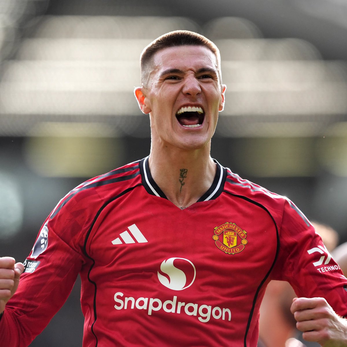 (fan) Frank 🧠🇾🇪 tweet media