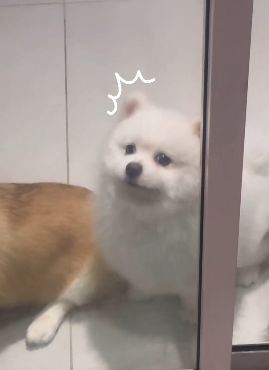 ℓn ˚˖𓍢ִ໋🌷͙֒ꕀ꙳ tweet media