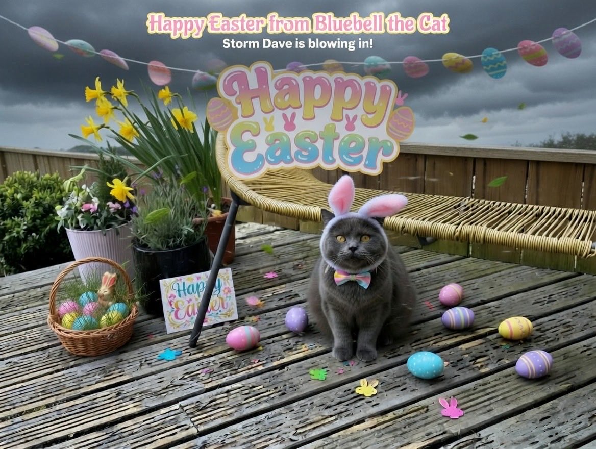 ℝ𝕠𝕤 /ℍ𝕖𝕒𝕣𝕥 𝕀𝕟 𝕋𝕙𝕖 ℍ𝕦𝕤𝕙 🤍 tweet media