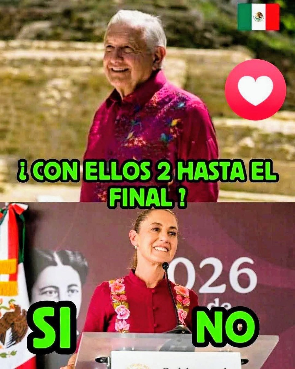 ✨Maca ✨ tweet media