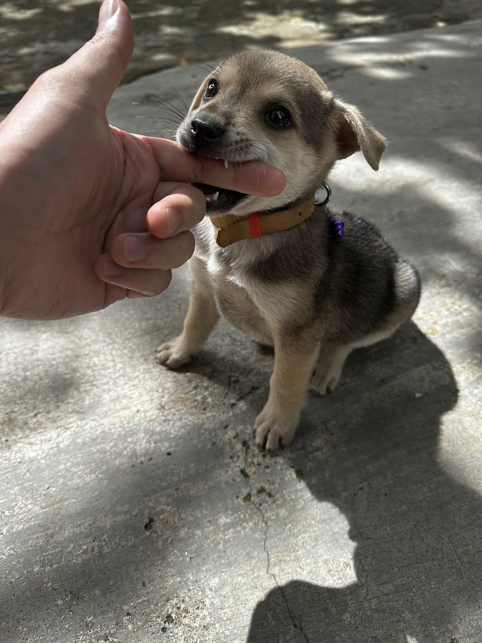 The Skullman 💀 tweet media