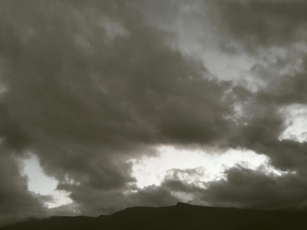 پری خان🌹 tweet media