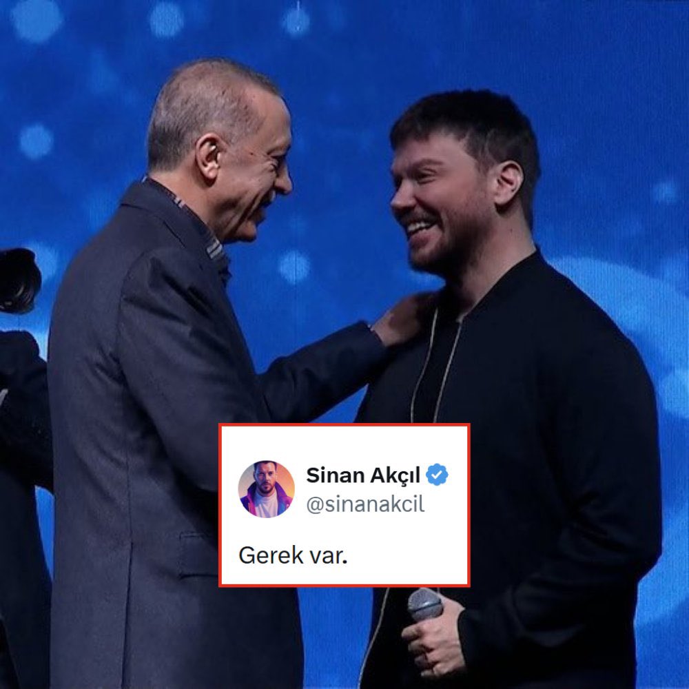 Sokak Kedisi tweet media