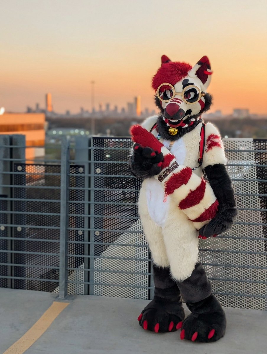 strawberrydoqs's tweet photo. What if I slap you with my big tail? https://t.co/O0CCQq6fZB