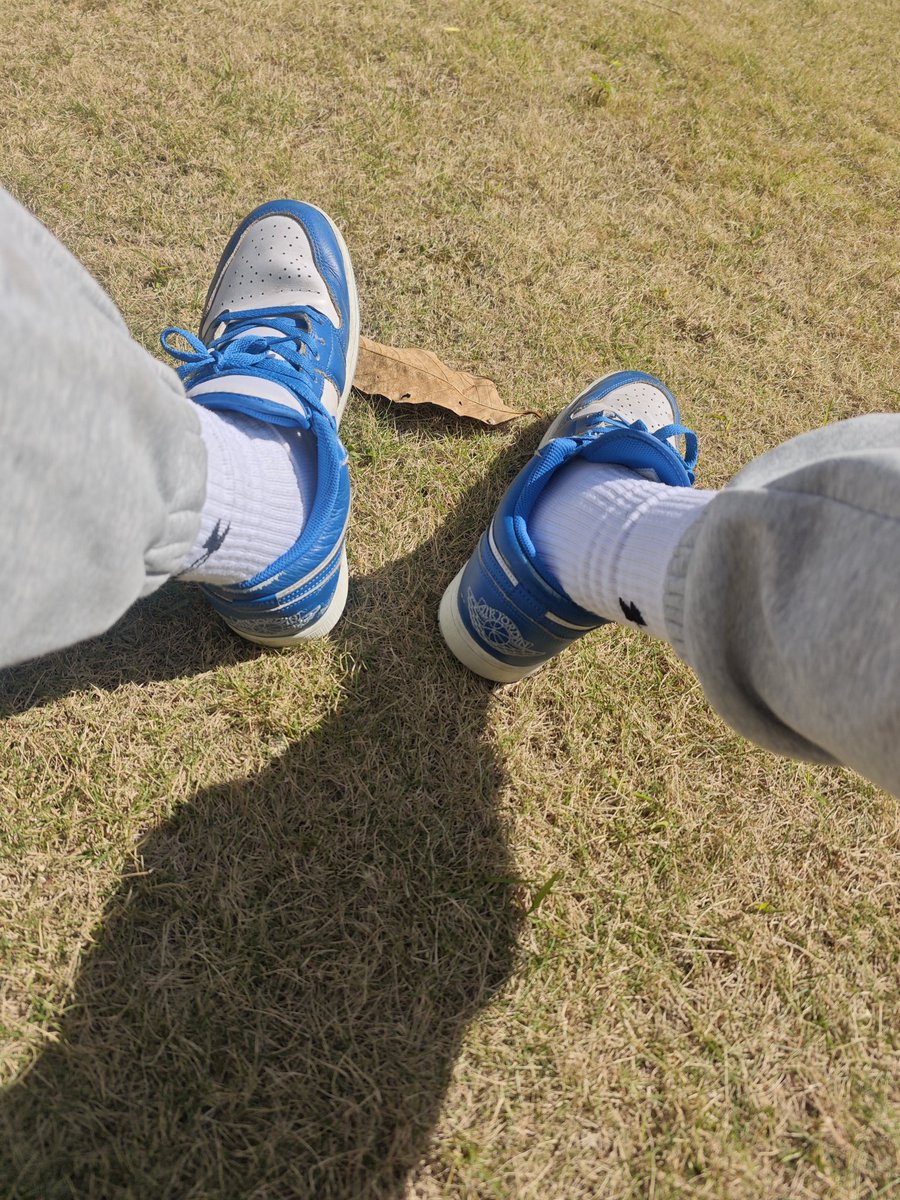 asd0323a's tweet photo. 晒晒太阳 https://t.co/M50jXrLEY2