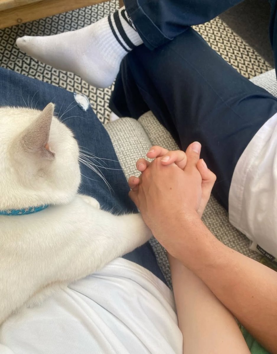 Ink Blot tweet media