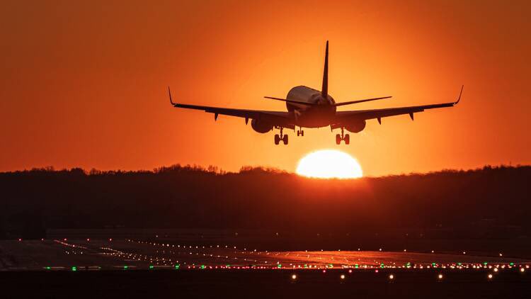 راكان العبيد tweet media