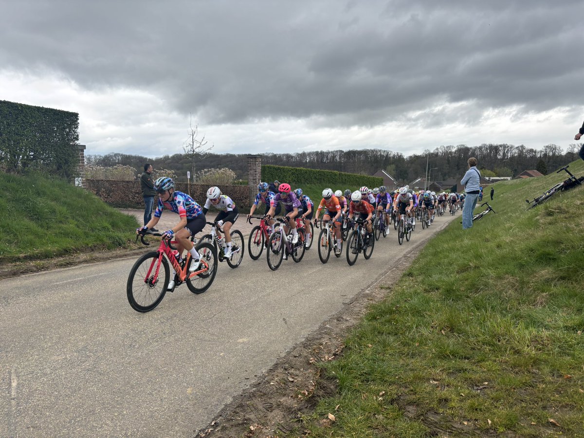 Never Strays Far tweet media