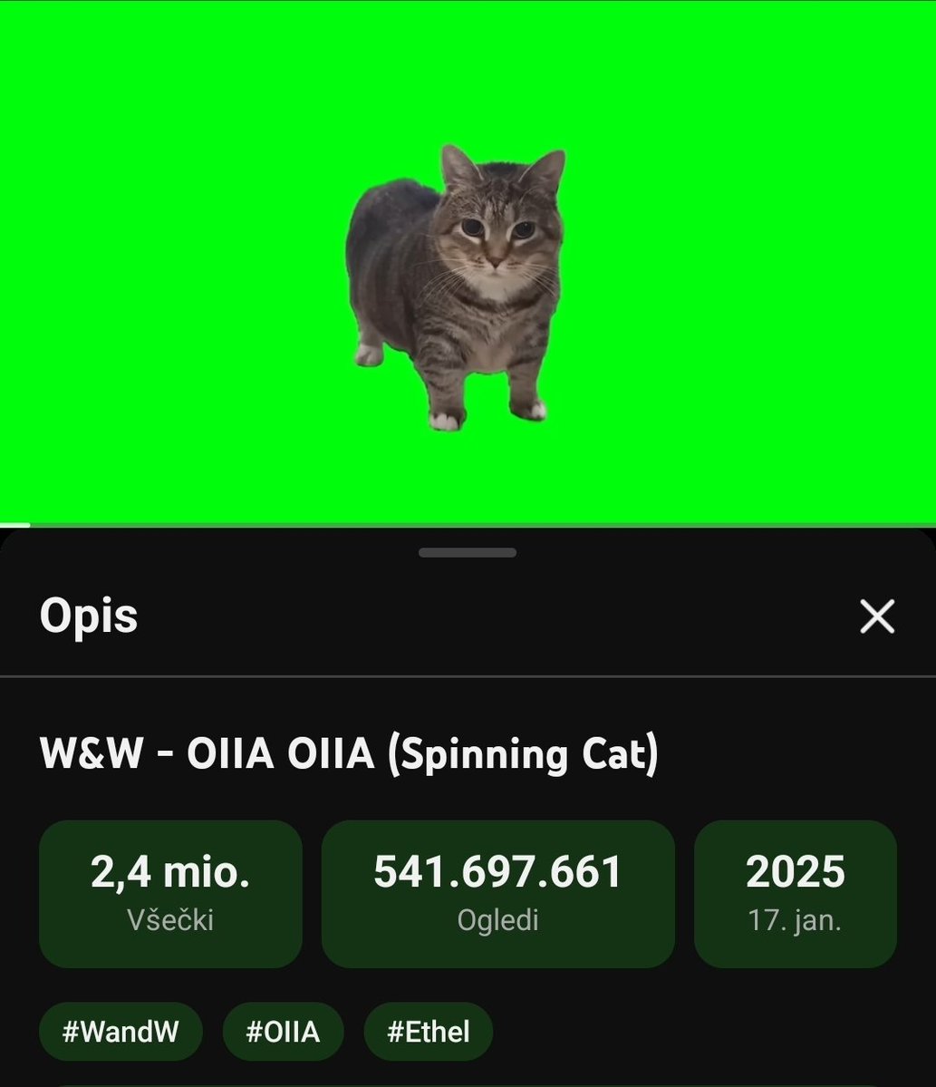 Tinki♻️🐱 tweet media