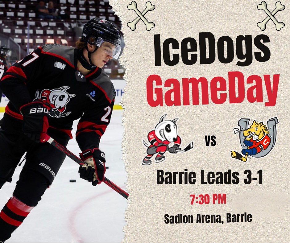 TheIceDogsReport tweet media