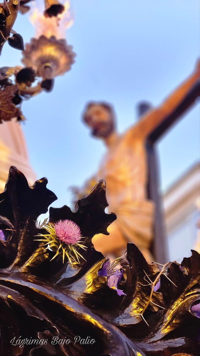 #Detalles <a href="/HdadCarreteria/">Hermandad Carretería</a> #ViernesSanto #Sevilla #SemanaSantaSevilla