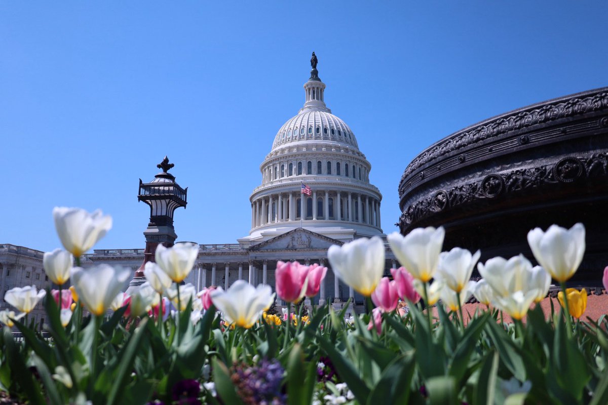 Nick Gambill tweet media