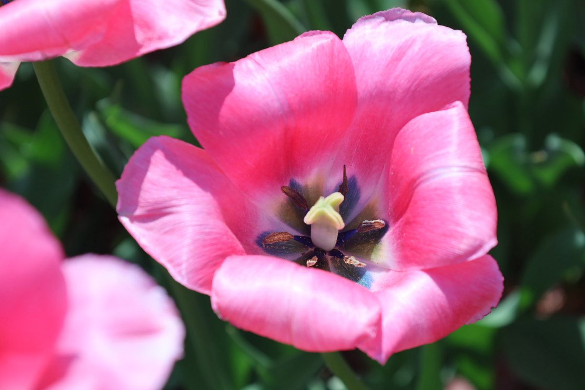 Nick Gambill tweet media