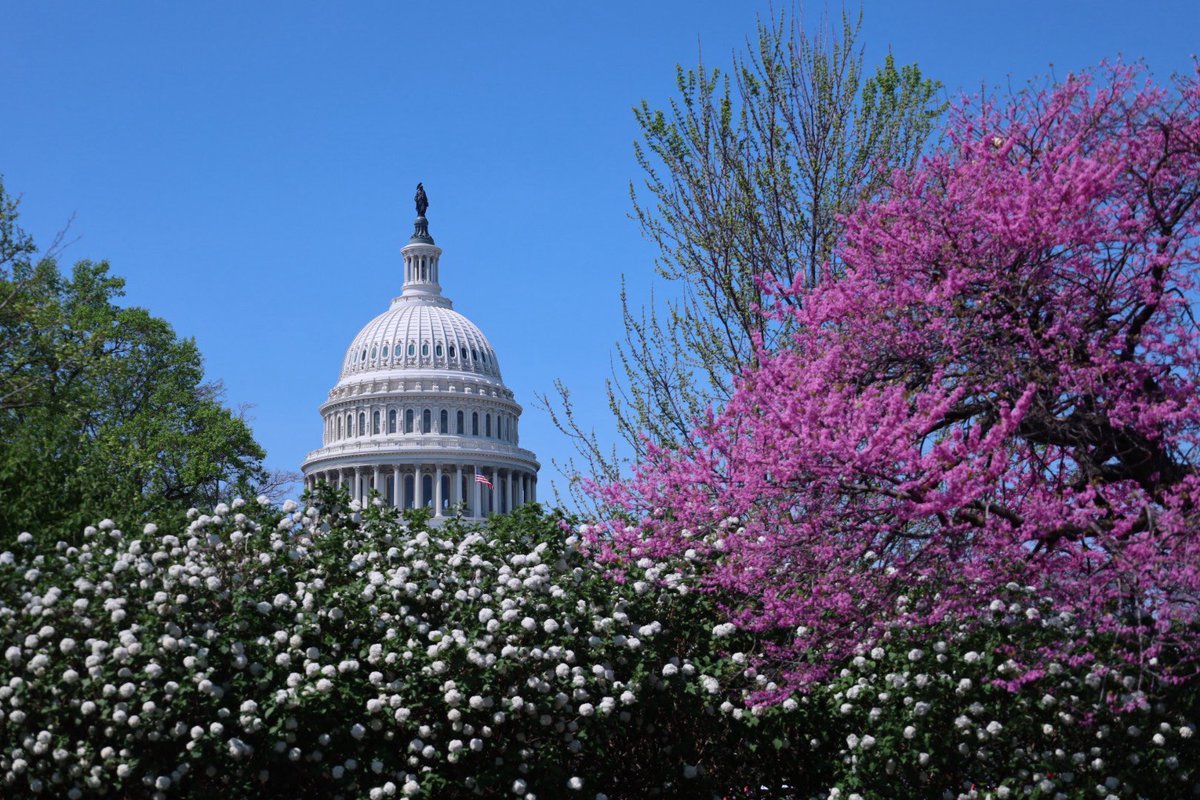 Nick Gambill tweet media