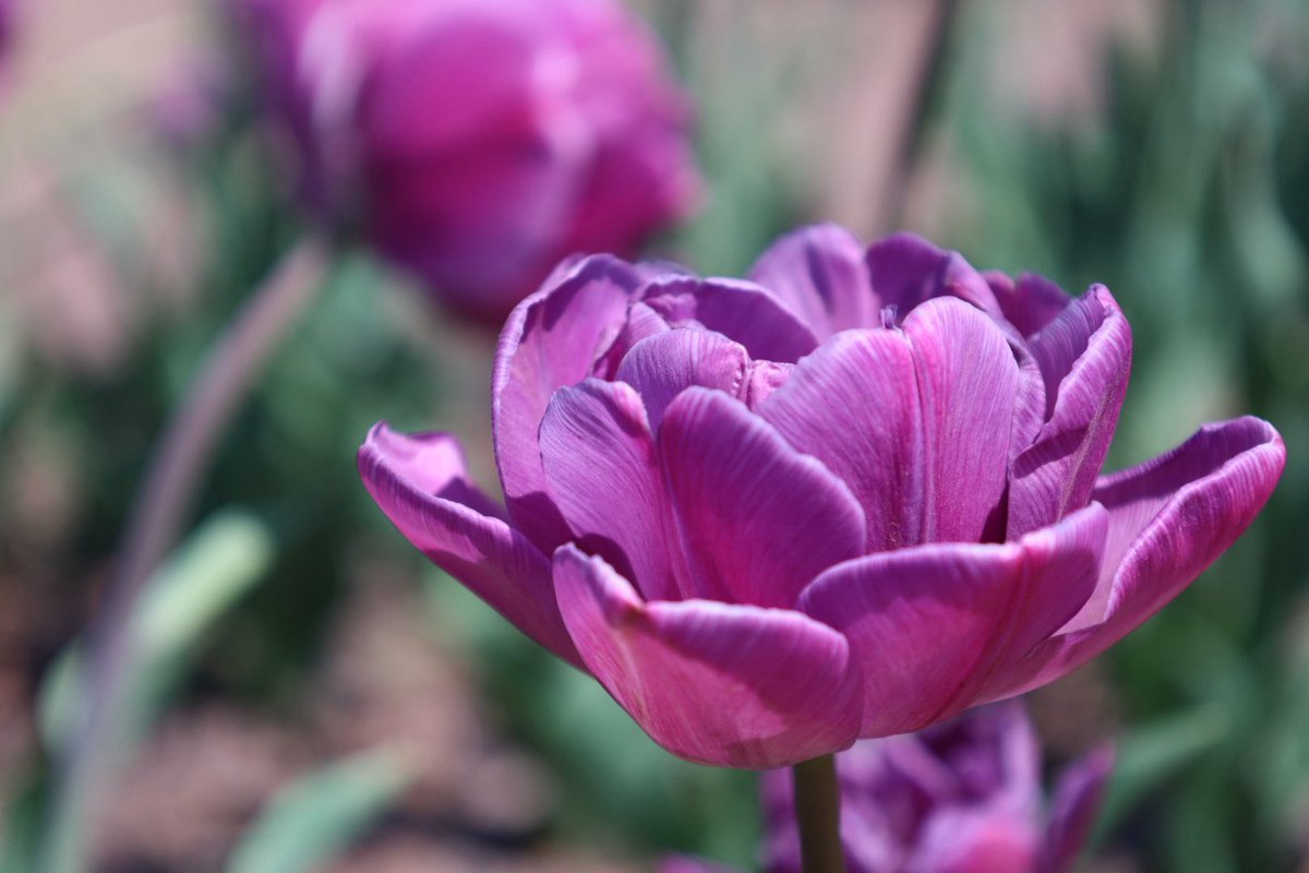 Nick Gambill tweet media