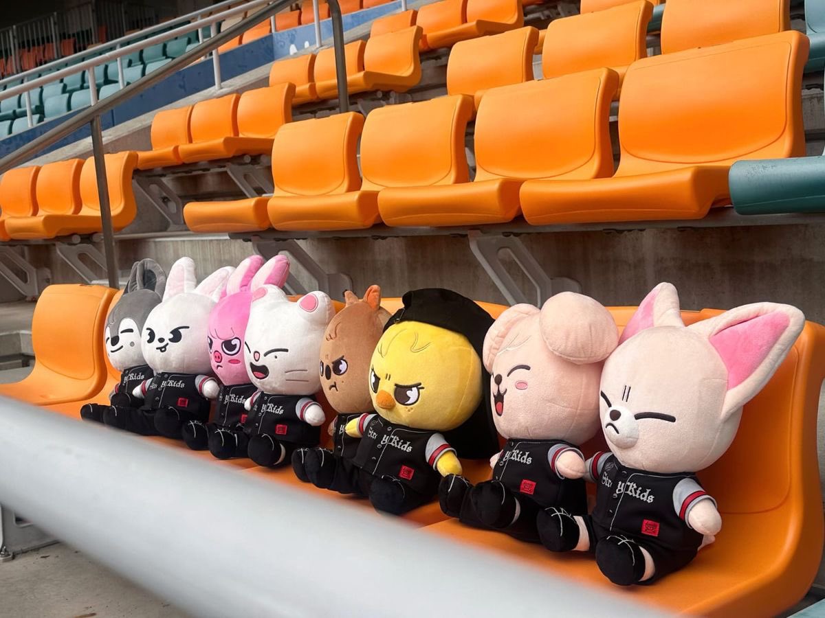 Sunsun 🌙 tweet media