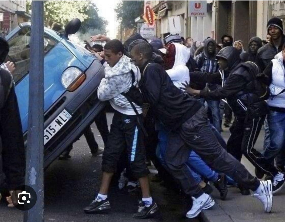 Avila Dude tweet media