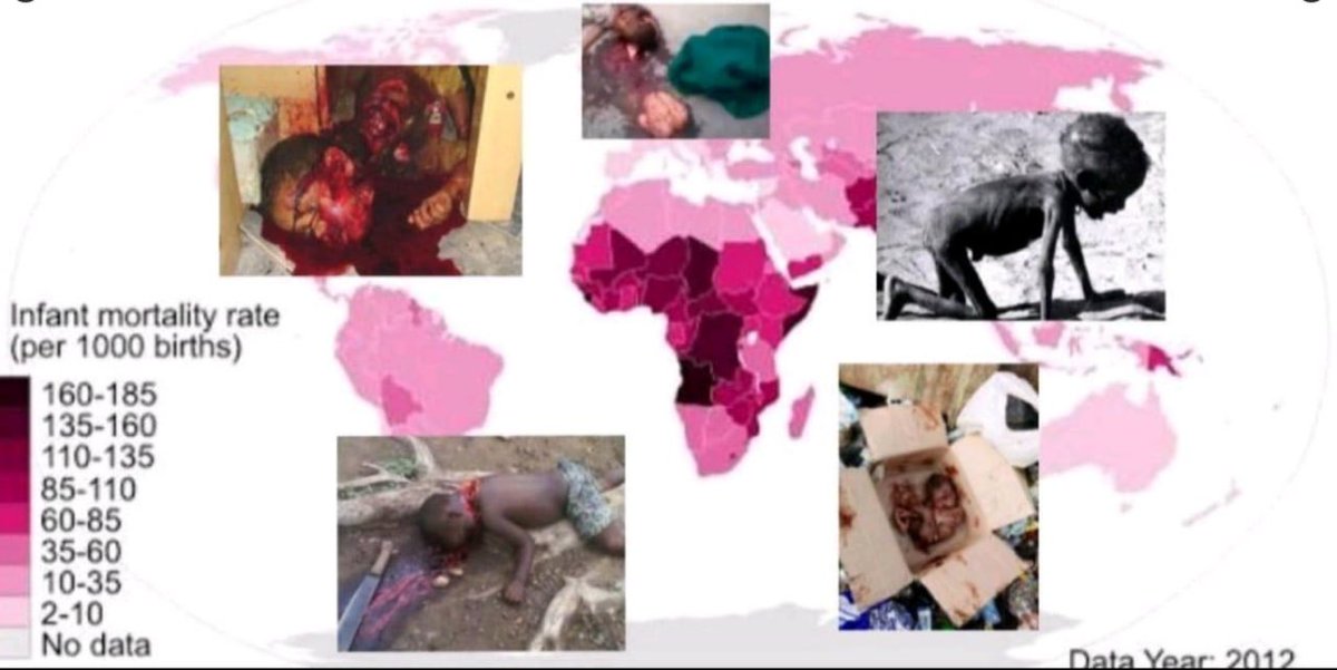 Gabriel 🇨🇱 🇮🇹 tweet media