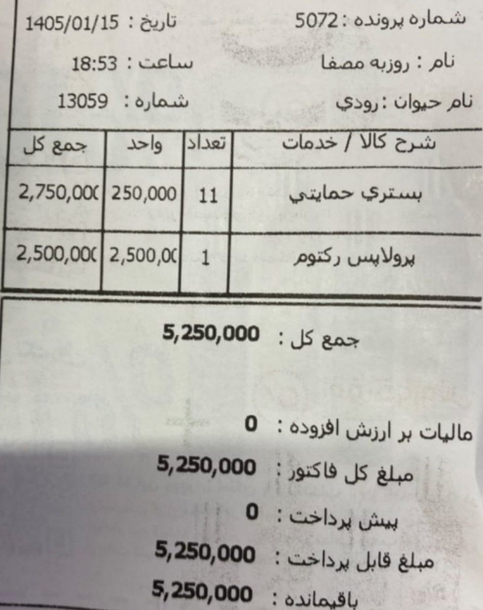 ژن پوک tweet media