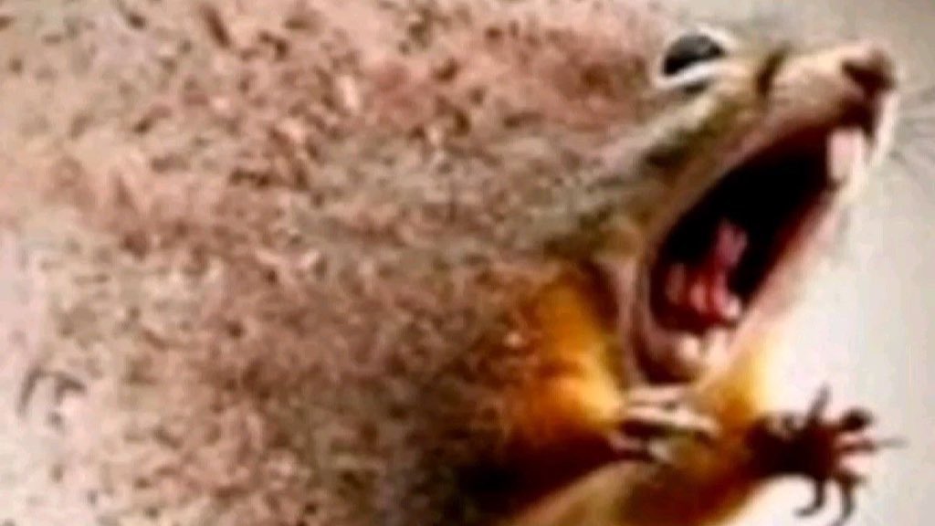 nadine ◡̈ tweet media