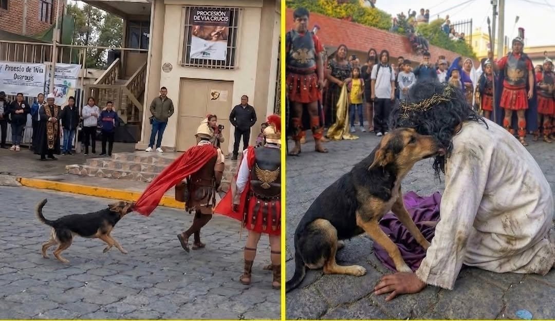 Real Time tweet media